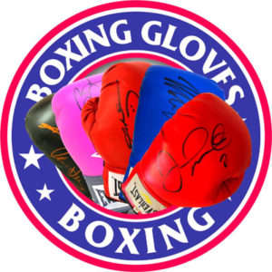 SIGNIERTE BOXHANDSCHUHE